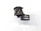 Tensor de correa del alternador