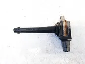 High voltage ignition coil