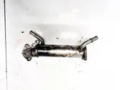 EGR valve cooler