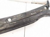 Moldura del limpia