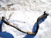 Fuel tank filler neck pipe