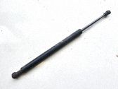 Takaluukun tuen kaasujousi