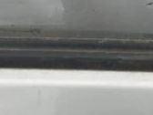 Listón embellecedor de la ventana de la puerta trasera