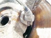 ABS Sensor