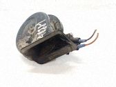 Signal sonore