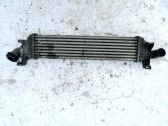 Radiador intercooler