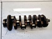 Vilebrequin du moteur