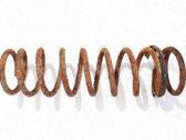 Muelle espiral trasero