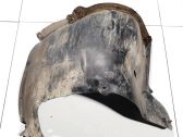 Radlaufschale Radhausverkleidung vorne