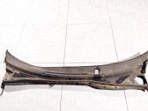 Moldura del limpia