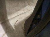 Türfangband Türfeststeller Türstopper hinten