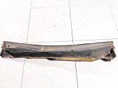 Moldura del limpia