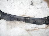 Moldura del limpia