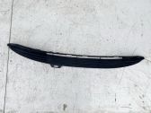 Front bumper lower grill