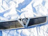Kühlergrill