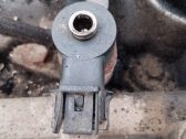 Inyector de combustible