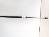 Tailgate/trunk strut/damper