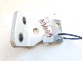 Rear door lower hinge