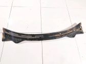 Moldura del limpia