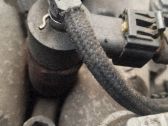 Injektor Einspritzdüse