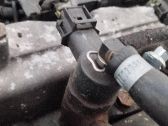 Inyector de combustible
