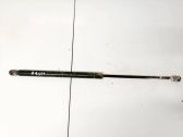 Tailgate/trunk strut/damper
