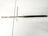 Tailgate/trunk strut/damper