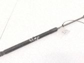 Tailgate/trunk strut/damper