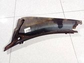 Moldura del limpia