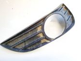 Front bumper lower grill