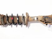Front shock absorber/damper