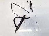 Inyector de combustible