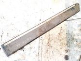 Listón embellecedor de la puerta delantera (moldura)