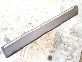 Listón embellecedor de la puerta delantera (moldura)