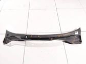 Moldura del limpia