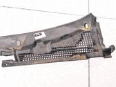 Moldura del limpia