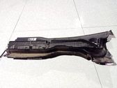 Moldura del limpia