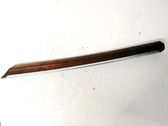 Other front door trim element