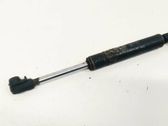 Tailgate/trunk strut/damper