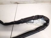 Roof airbag
