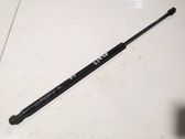 Tailgate/trunk strut/damper
