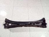 Moldura del limpia