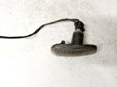 Seitenblinker
