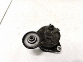 Tensor de correa del alternador