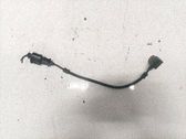 Sensor de posición del cigüeñal