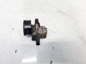 Tensor de correa del alternador