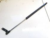 Tailgate/trunk strut/damper