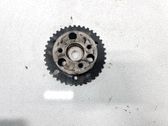 Engranaje de la bomba de combustible (polea)