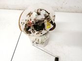Bomba interna de combustible