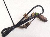 Sensor de temperatura del escape